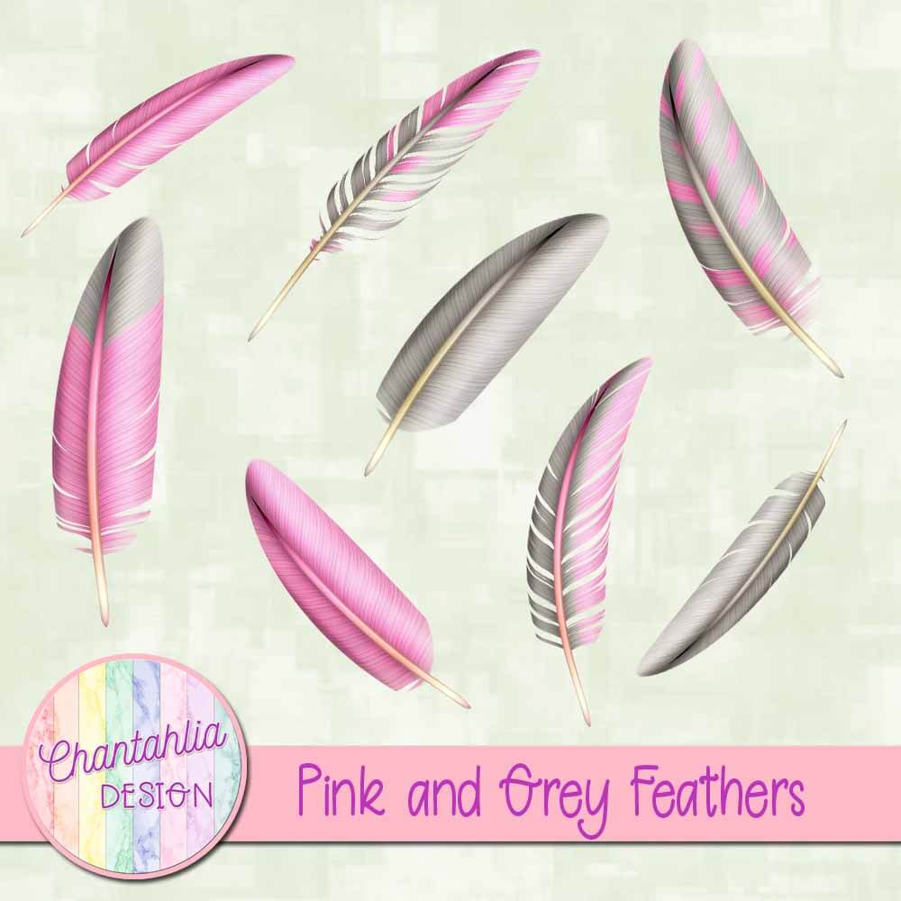 Free Pink and Grey Feathers for Digital Scrapbooking