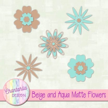 Beige and Aqua Matte Flowers