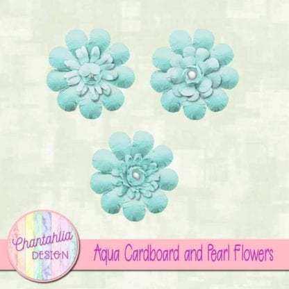 Aqua Cardboard and Pearl Flowers