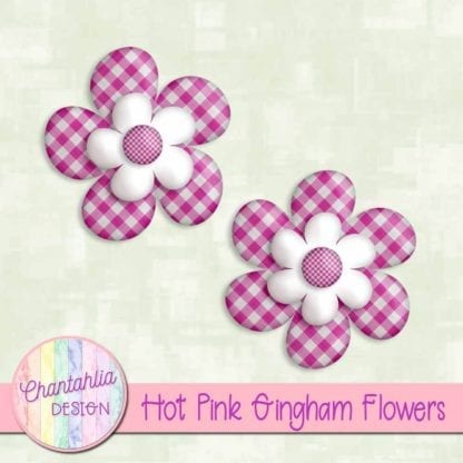 Hot Pink Gingham Flowers