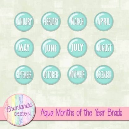 Aqua Months of the Year Brads