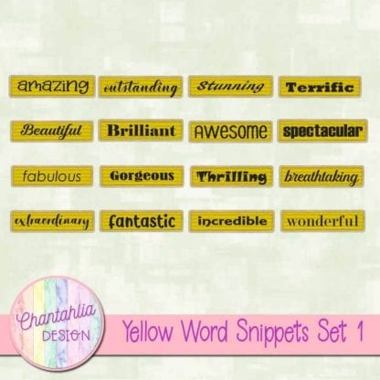 Yellow Word Snippets Set 1