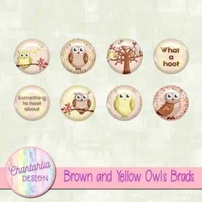 Brown and Yellow Owls Brads