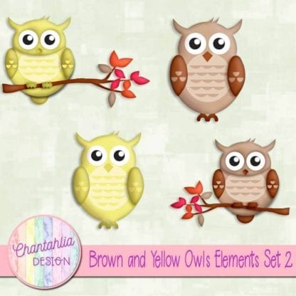 Brown and Yellow Owls Elements Set 2