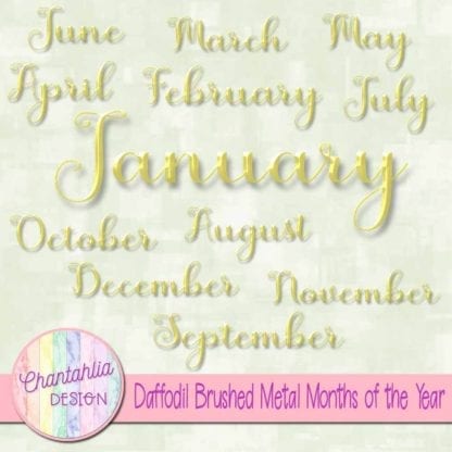Daffodil Brushed Metal Months of the Year