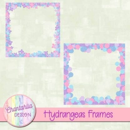 Hydrangeas Frames