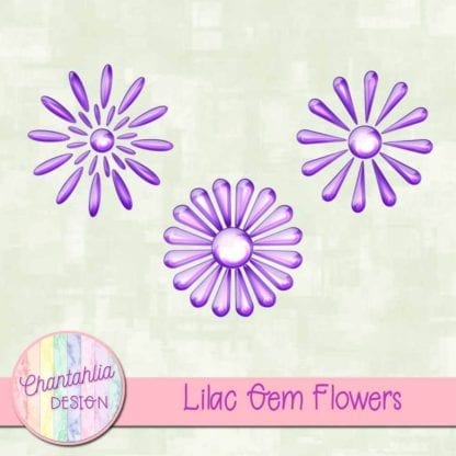 Lilac Gem Flowers