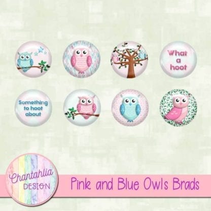 Pink and Blue Owls Brads