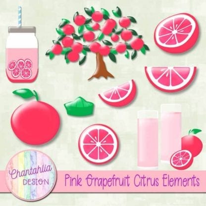 Pink Grapefruit Citrus Elements