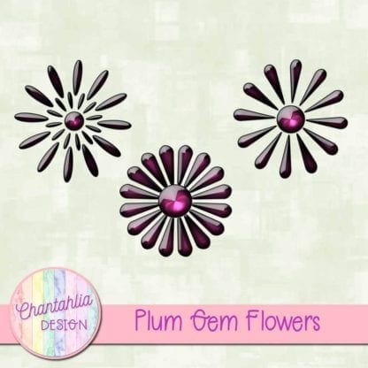Plum Gem Flowers