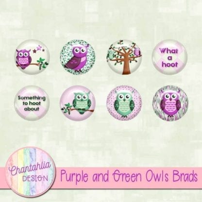 Purple and Green Owls Brads