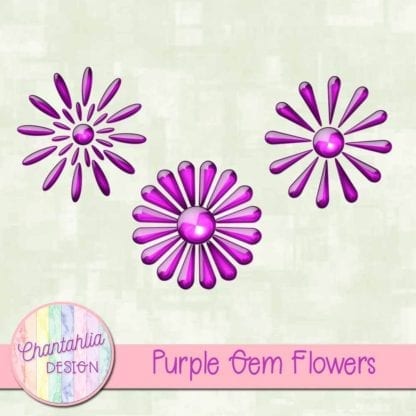 Purple Gem Flowers