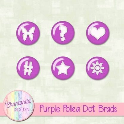 Purple Polka Dot Brads