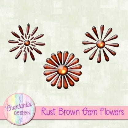 Rust Brown Gem Flowers