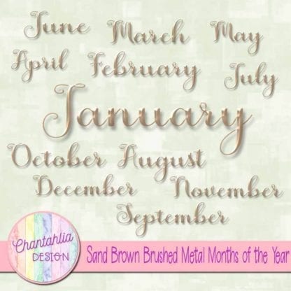 Sand Brown Brushed Metal Months of the Year