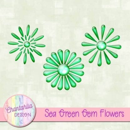 Sea Green Gem Flowers