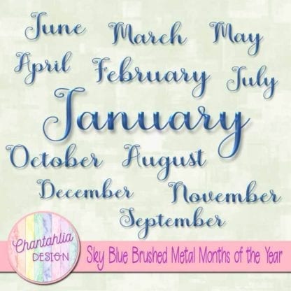 Sky Blue Brushed Metal Months of the Year