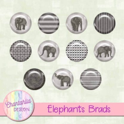 elephants brads