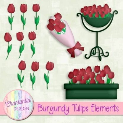 burgundy tulips elements