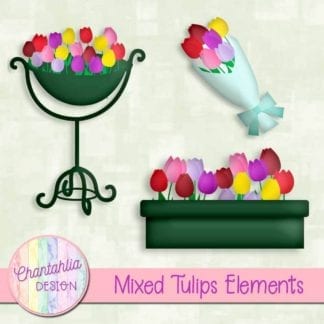 mixed tulips elements