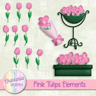 pink tulips elements