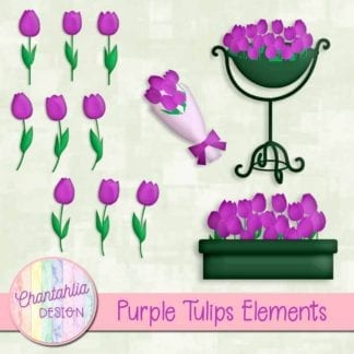 purple tulips elements