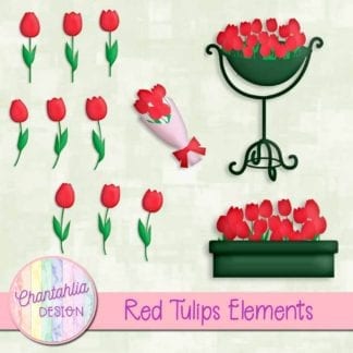 red tulips elements