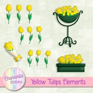 yellow tulips elements