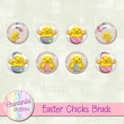 Easter Chicks Brads