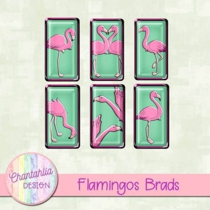 flamingos brads