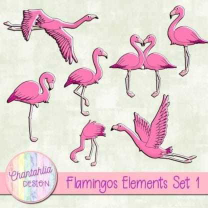 flamingos elements