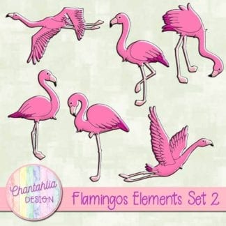 flamingos elements