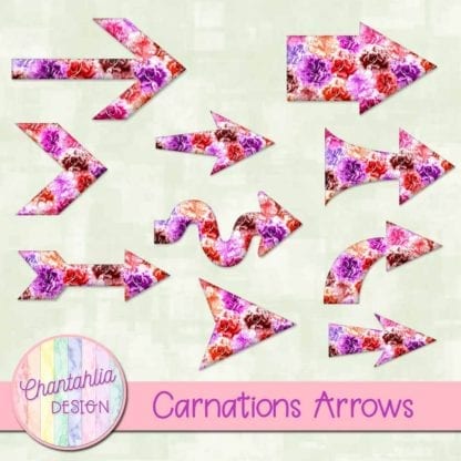 carnations arrows