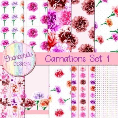 carnations digital papers