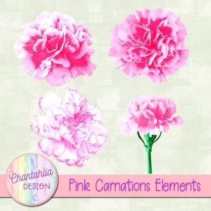 pink carnations elements