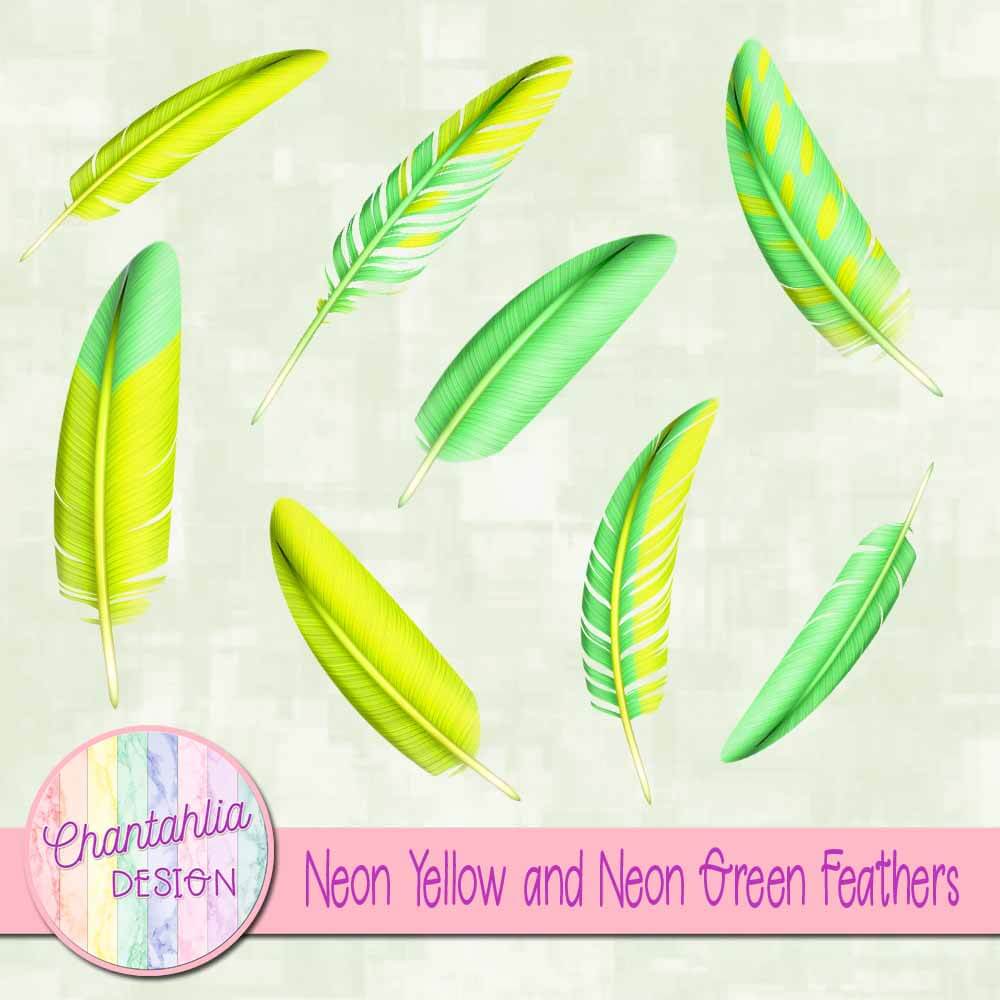 Free Neon Yellow and Neon Green Feathers for Digital Scrapbooking
