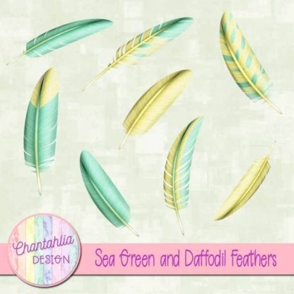 Sea Green and Daffodil Feathers Elements