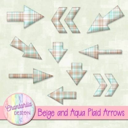 beige and aqua plaid arrows