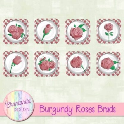 burgundy roses brads