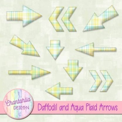 daffodil and aqua plaid arrow