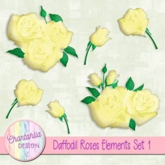 daffodil roses elements