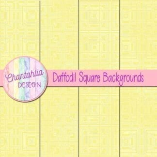daffodil square backgrounds