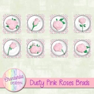 dusty pink roses brads