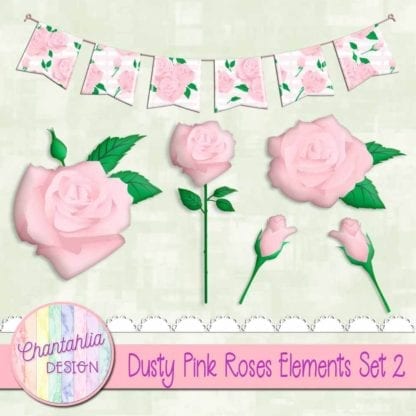 dusty pink roses elements