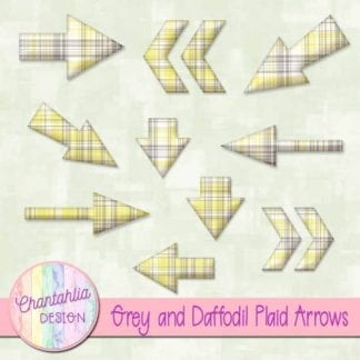 grey and daffodil plaid arrows