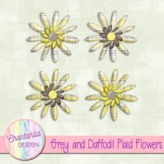 grey and daffodil plaid flowers