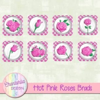 hot pink roses brads