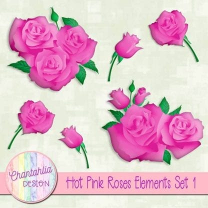 hot pink roses elements