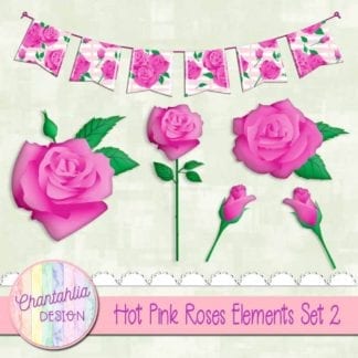 hot pink roses elements