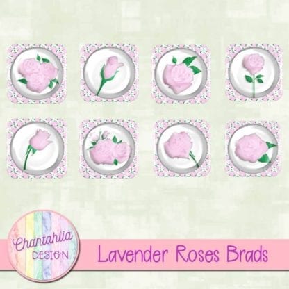 lavender roses brads